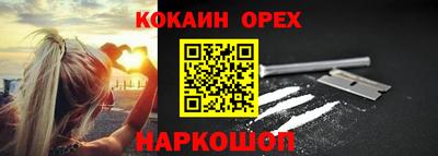 крисы Аргун