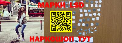 крисы Аргун
