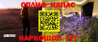 крисы Аргун